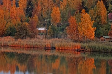 Fall in Finland