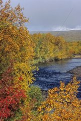 Finnish river in autumn