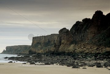 Cliff and sand beach at low tide Calvados France
