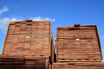 Holz  das im Hafen von Nantes Frankreich aufbewahrt wird