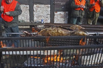 Wildschwein in einem Holzfeuer Mackenheim Frankreich geröstet