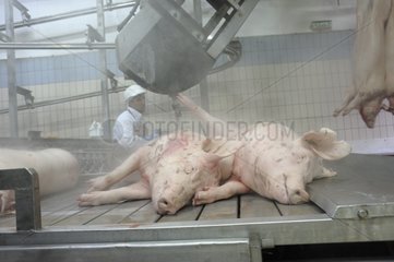 Setting up the remains of Pigs on a conveyor Rodez