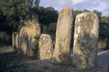 Megalithische Ausrichtung von Palaggiu Frankreich