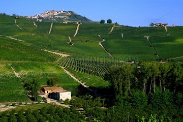 Village perché de la Morra au dessus des vignes de Barolo