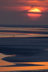 Sonnenuntergang am Baie de Somme bei Ebbe