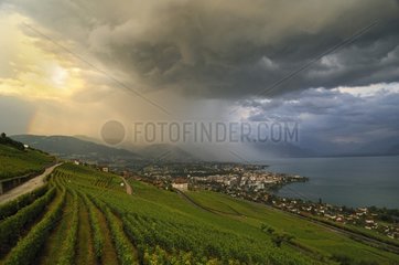 Storm and rain curtain above the Lake Geneva Switzerland
