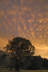 Mammatus Clouds at sunset Alpes France