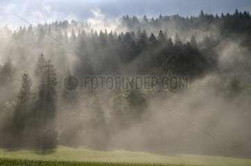 Fog and light rays Bauges Massif Alpes France