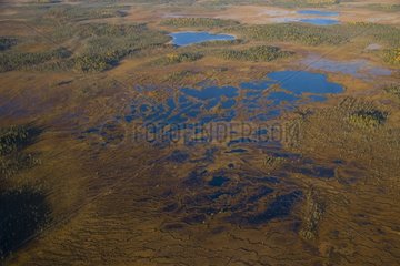 Aerial shot of peat bog in Lapland Finland