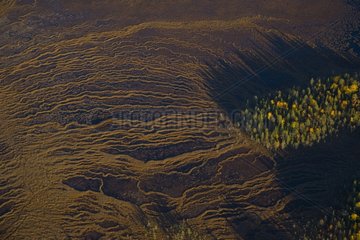 Aerial shot of peat bog and boreal forest in Lapland Finland
