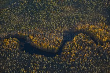 River flowing through the boreal forest in Lapland Finland