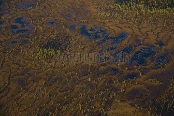 Aerial view of peat bogs in Lapland Finland