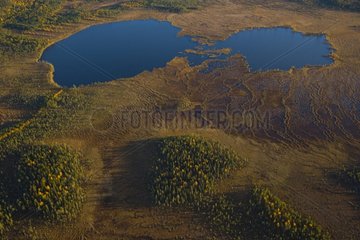 Aerial view of a peat bog in Lapland Finland