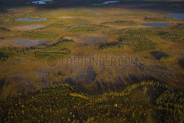 Aerial view of peat bogs in Lapland Finland