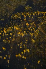 Aerial view of a peat bog in the forest Lapland Finland