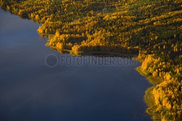 Aerial view of the taiga in Lapland Finland