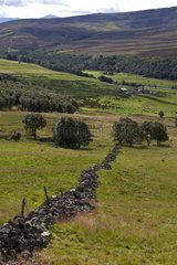 Highland landscape Scotland UK