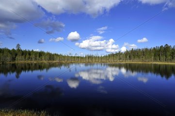 Lake in taiga Martinselkonen Finland
