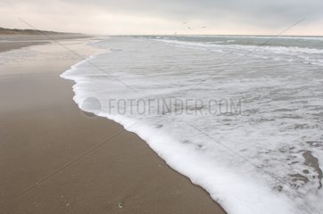 Sand beach and the Manche Etaples France