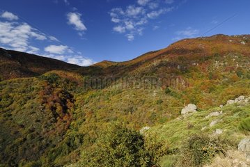 Cévennes landscape in autumn