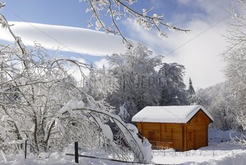 Cottage in the snow in the mountains of the Aigoual