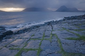 Coast slab cracked and colonized by plants Scotland