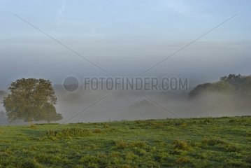 Morning fog on the plate of Brognard in Autumn