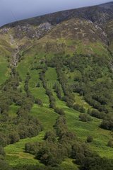 Landscape of the Scottish Highlands UK