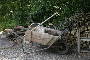 Wheelbarrow in front of wood logs