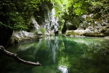 Natural basin in the Gorges of the Nesque France