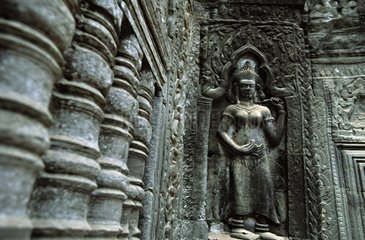 TÃ¤nzer Apsaras in der Wand des Tempels Kambodscha geschnitzt
