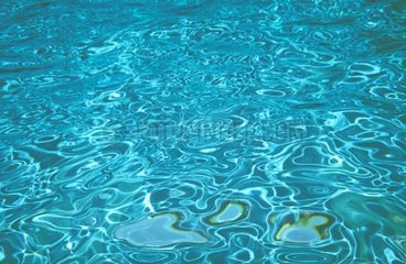 Poolwasser