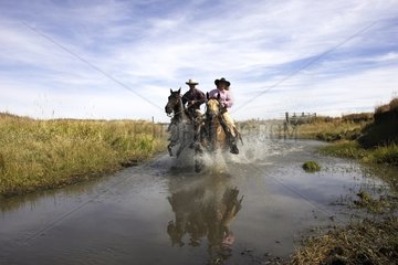 Kuhspritzen mit Pferd  das in Wasser Oregon in den USA galoppiert