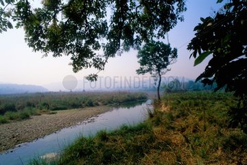 Landscape and river in Corbett National Park India
