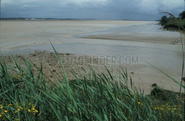 Muddy water of the estuary of the Gironde