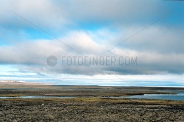 Landscape of tundra in the Back Bay Prince of Wales island