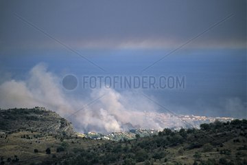 Forest Fire on the Côte d'Azur France