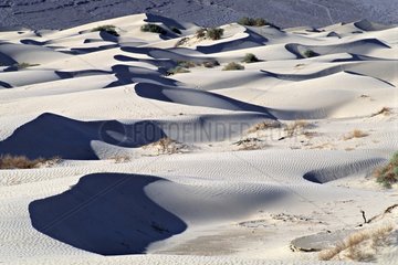 Sand dunes in the desert of the Death Valley USA