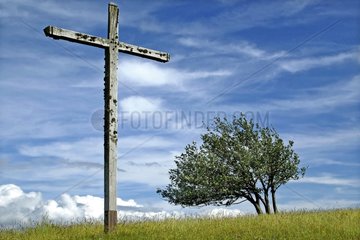 Kreuz und Baum am Grand Massif du Colombier Frankreich