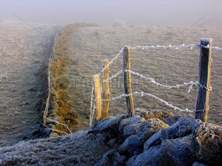 Landscape Aubrac in winter