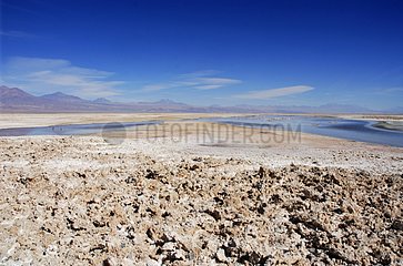 Salzablagerung in Laguna Chaxa Salar de Atacama Chili