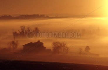 Ferme dans le brouillard matinal Entre Terraube et Lectoure