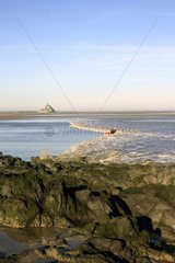 High Tide in the bay of Mont Saint-Michel France