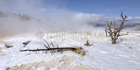 Formation limestone Yellowstone Mammoth Hot Springs USA