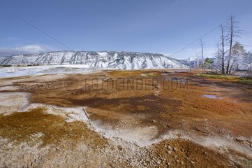 Canary Spring and Mount Everts at Mammoth Hot Springs USA
