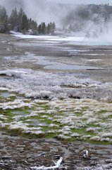 Ice and snow on Norris Geyser Basin Yellowstone USA