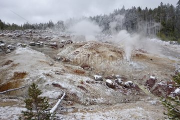 Steamboat Geyser Sprinkle snow Yellowstone NP USA