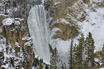 Lower Falls in the Grand Canyon Yellowstone NP USA