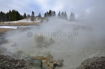 Black Dragon's Cauldron Yellowstone NP USA