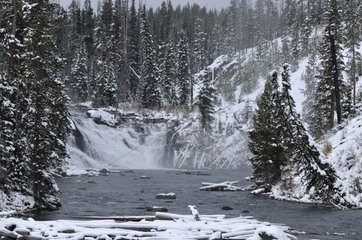 Lewis River Falls in the Yellowstone NP USA